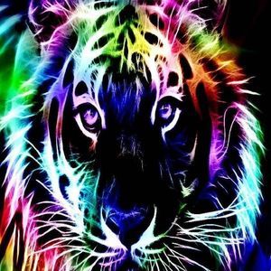 Meet your Posher, Ellen